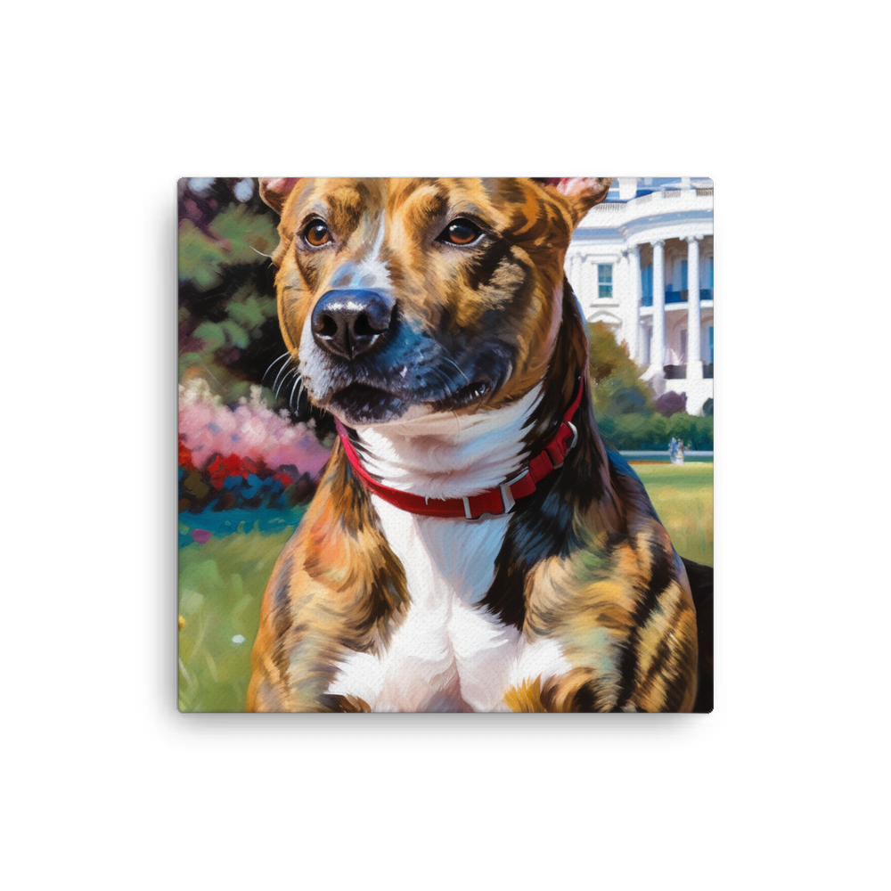 PugMug Custom Tony Hawk Canvas