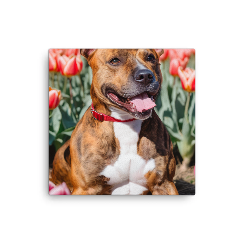 PugMug Custom Tony Hawk Canvas