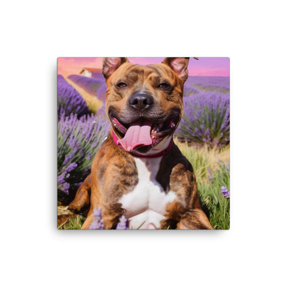 PugMug Custom Tony Hawk Canvas