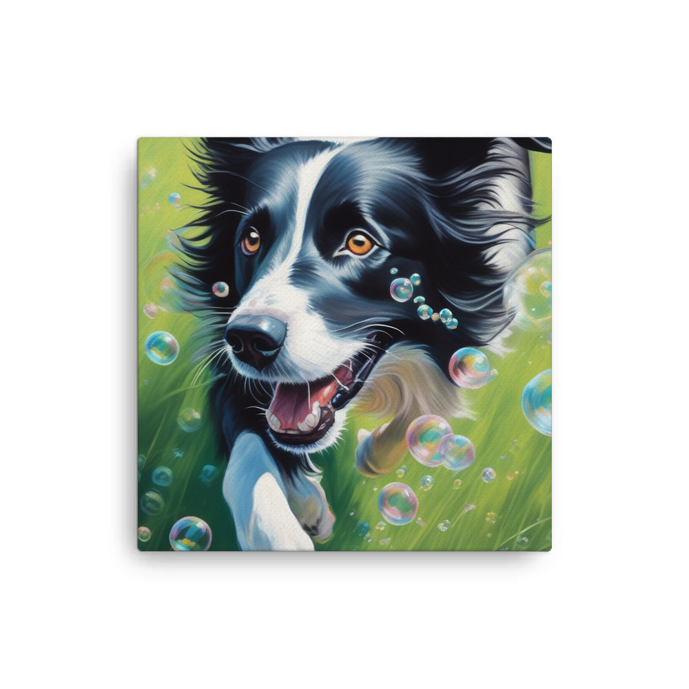 PugMug Custom Border Collie Canvas