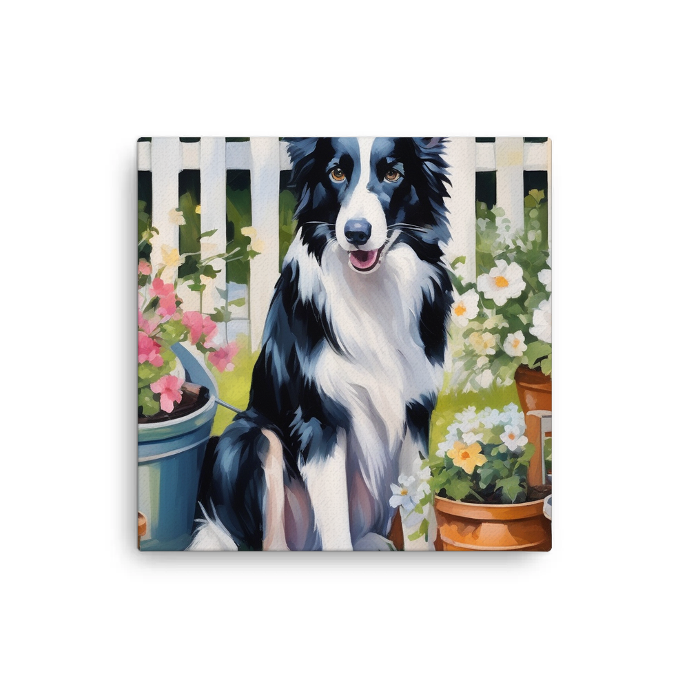 PugMug Custom Border Collie Canvas