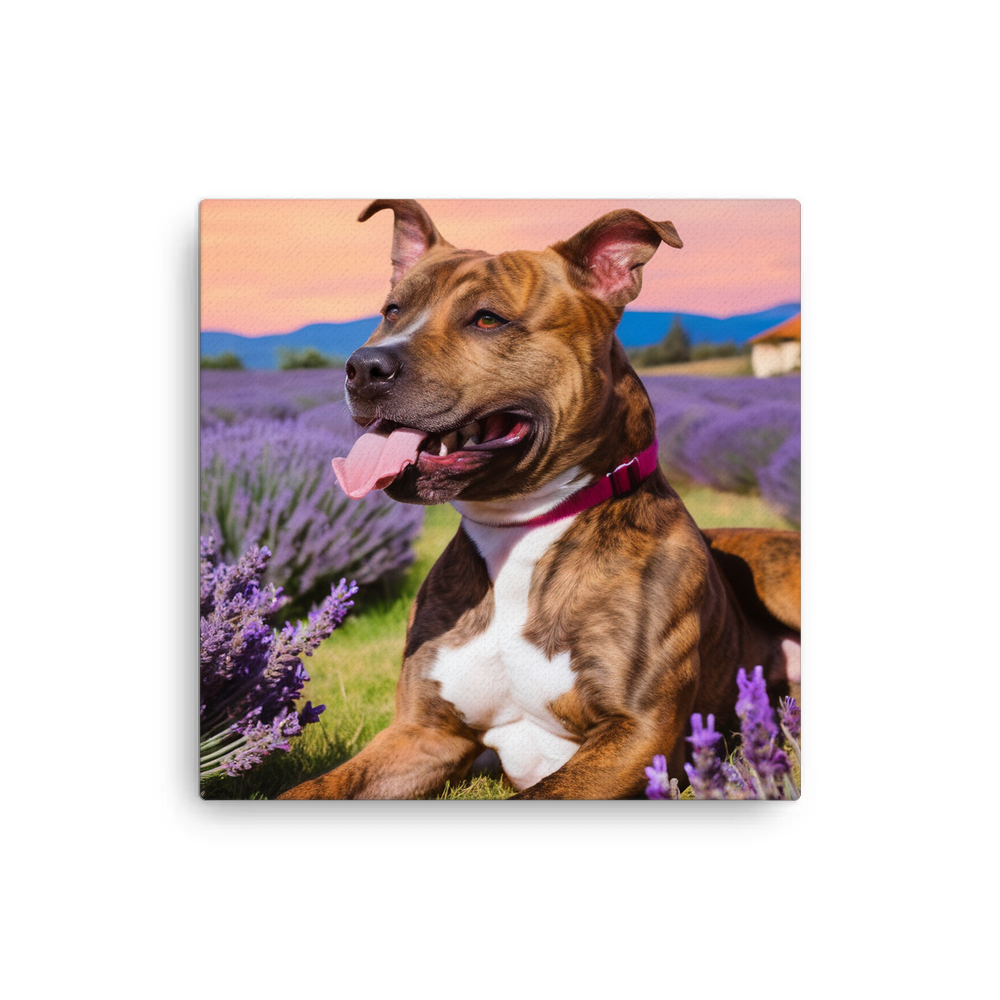 PugMug Custom Tony Hawk Canvas