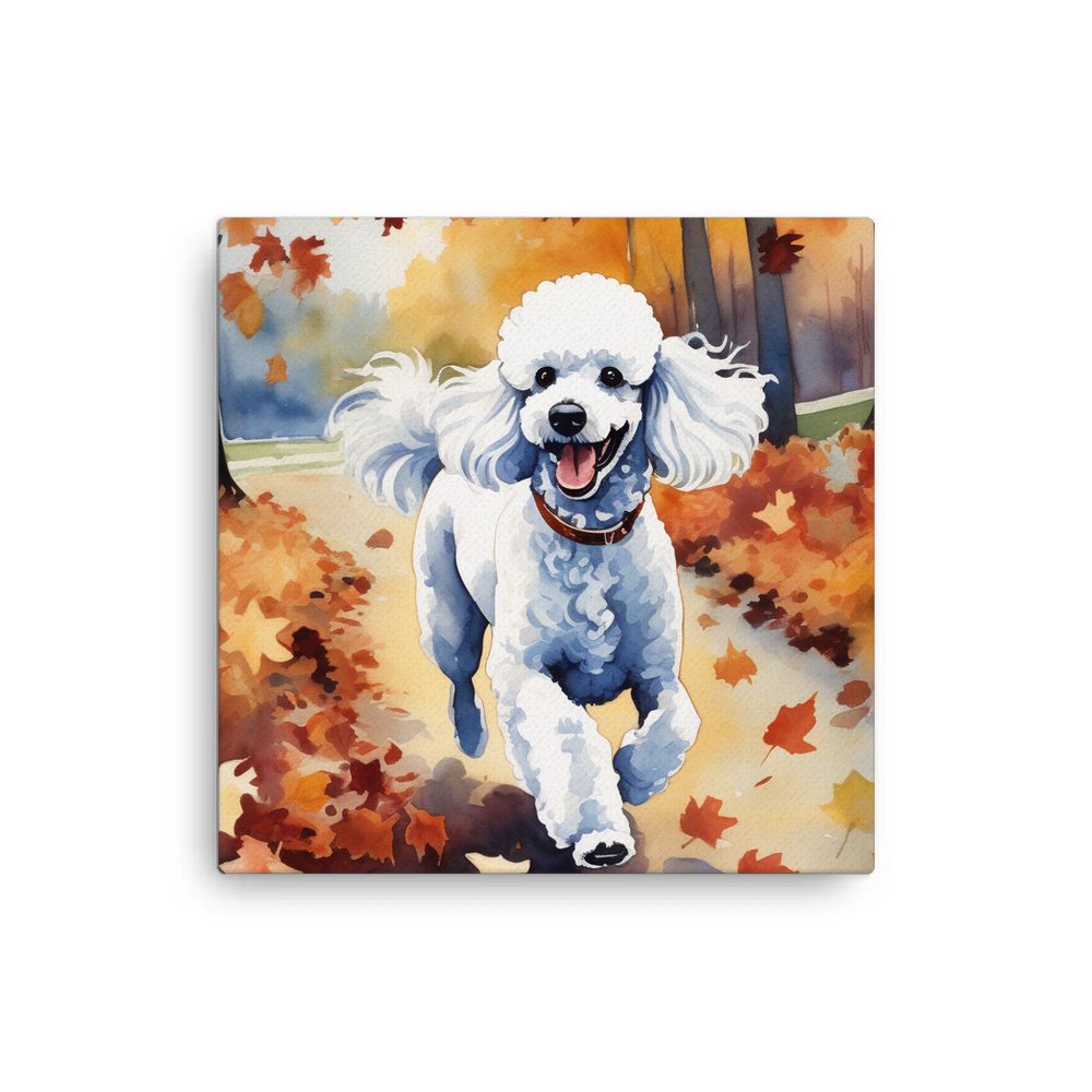 PugMug Custom White Poodle Canvas