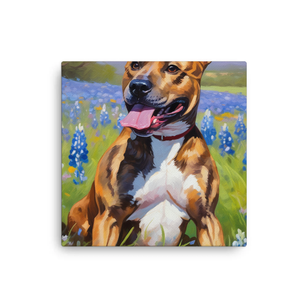 PugMug Custom Tony Hawk Canvas