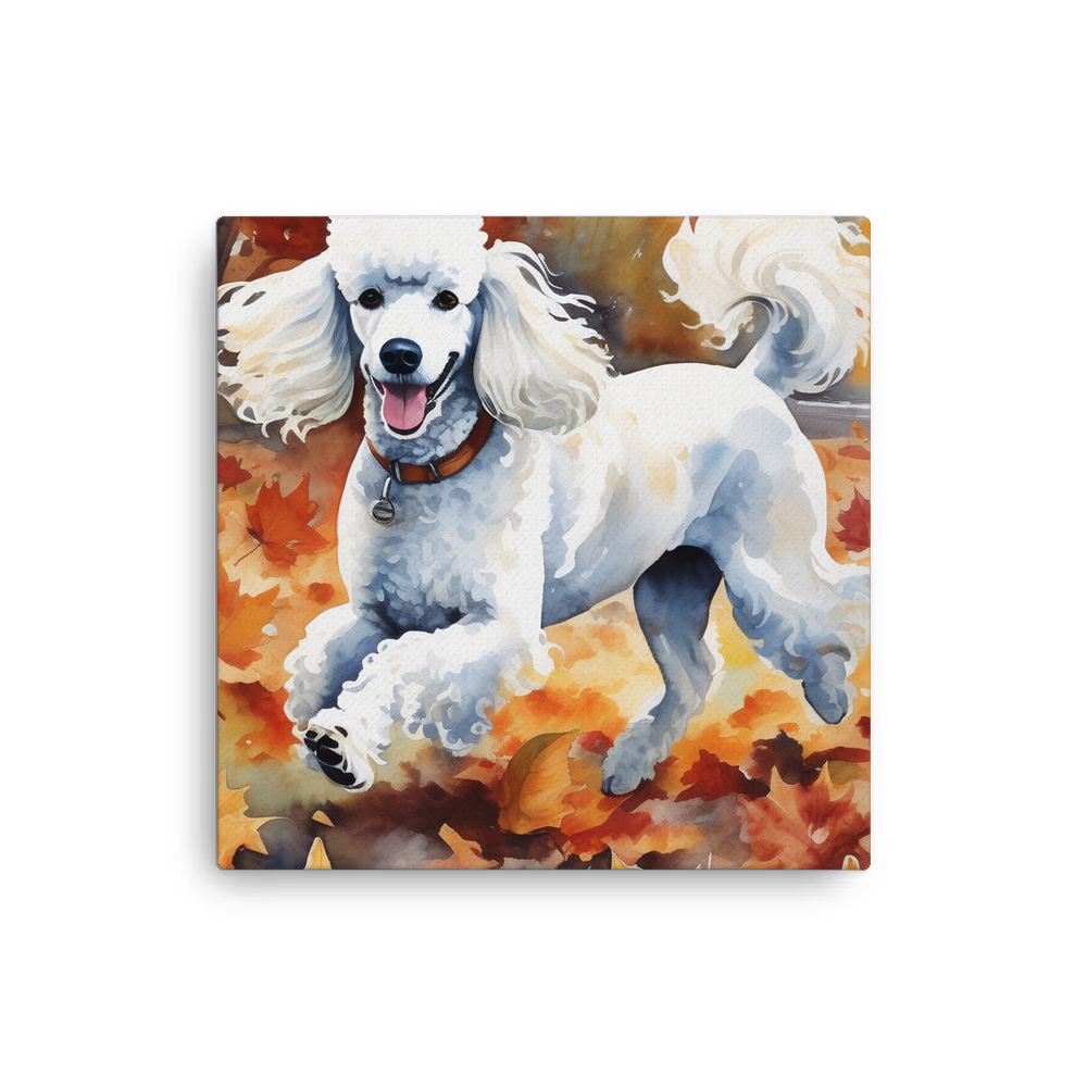 PugMug Custom White Poodle Canvas