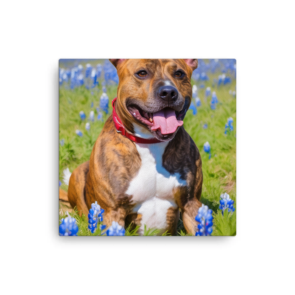 PugMug Custom Tony Hawk Canvas