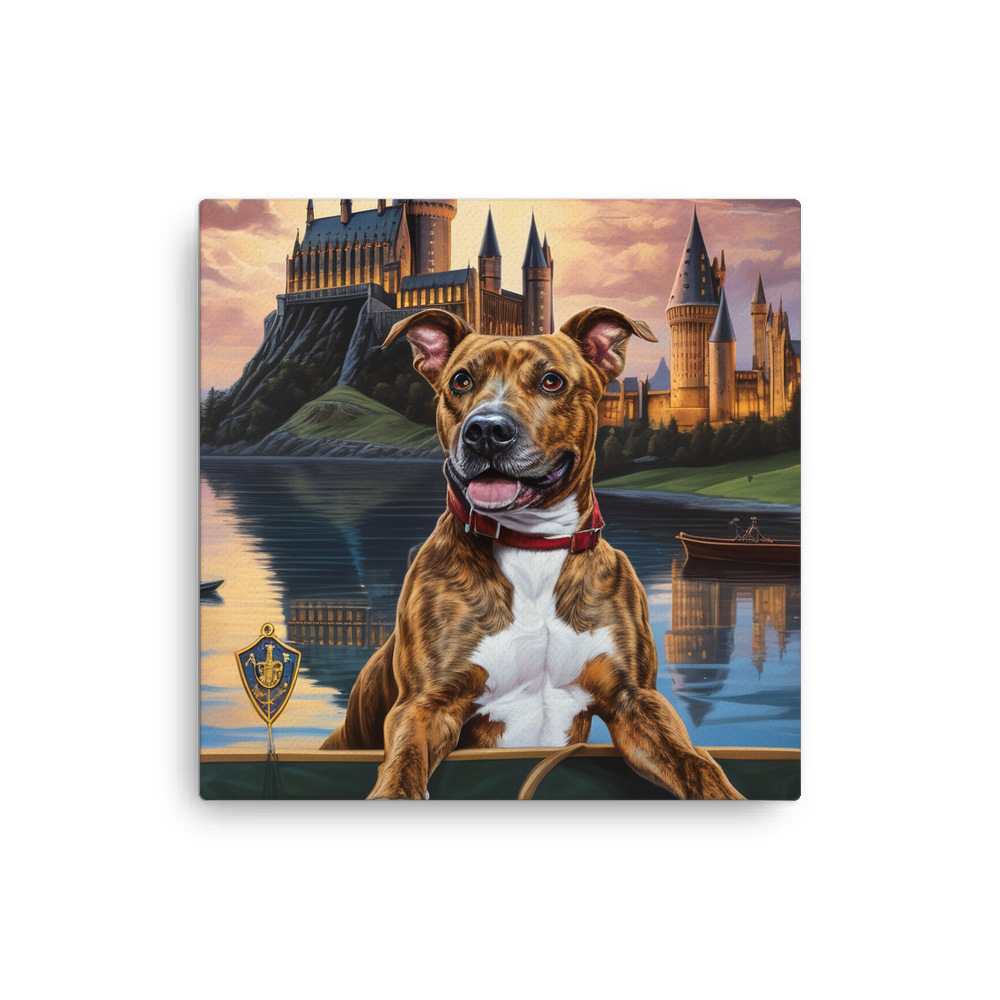 PugMug Custom Tony Hawk Canvas