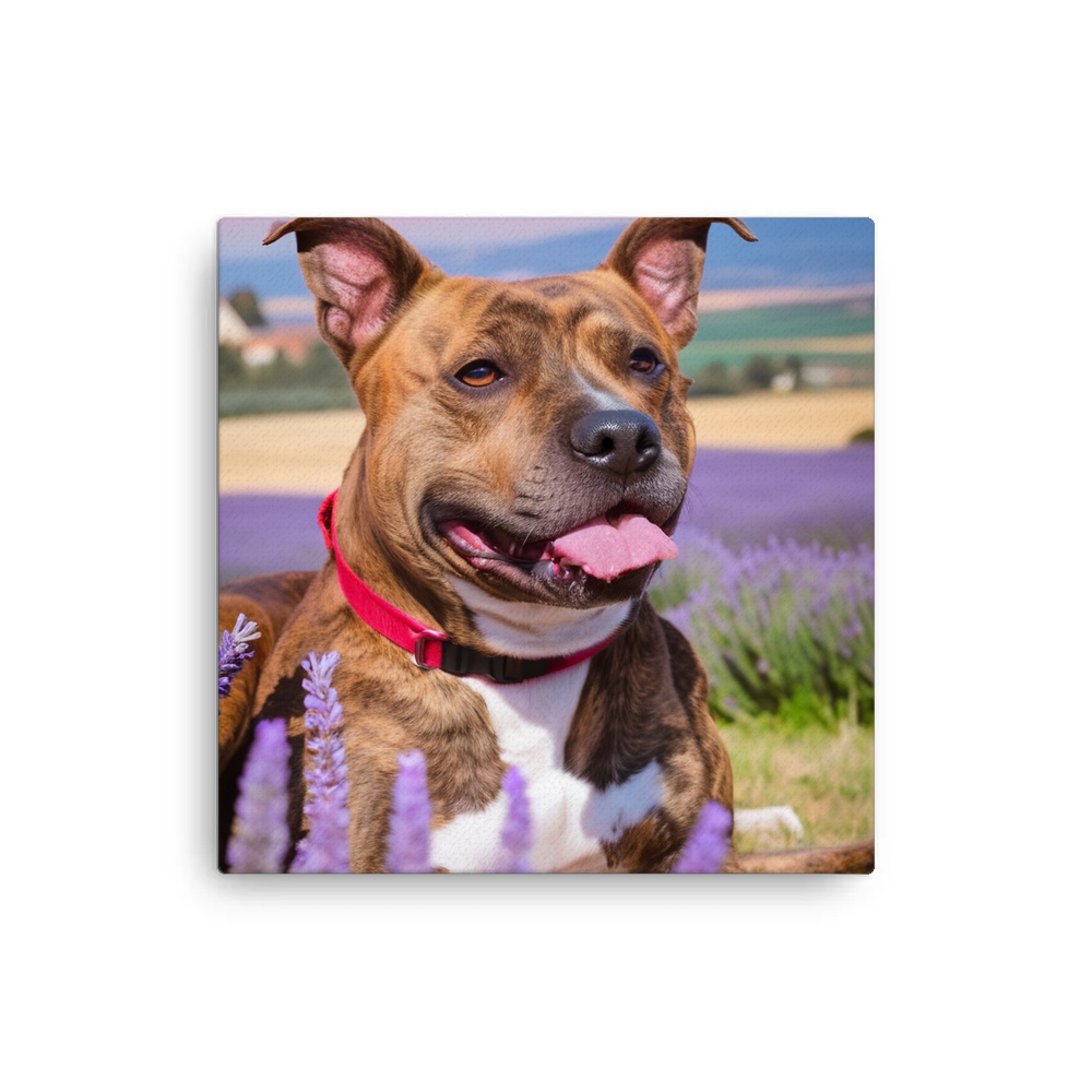 PugMug Custom Tony Hawk Canvas