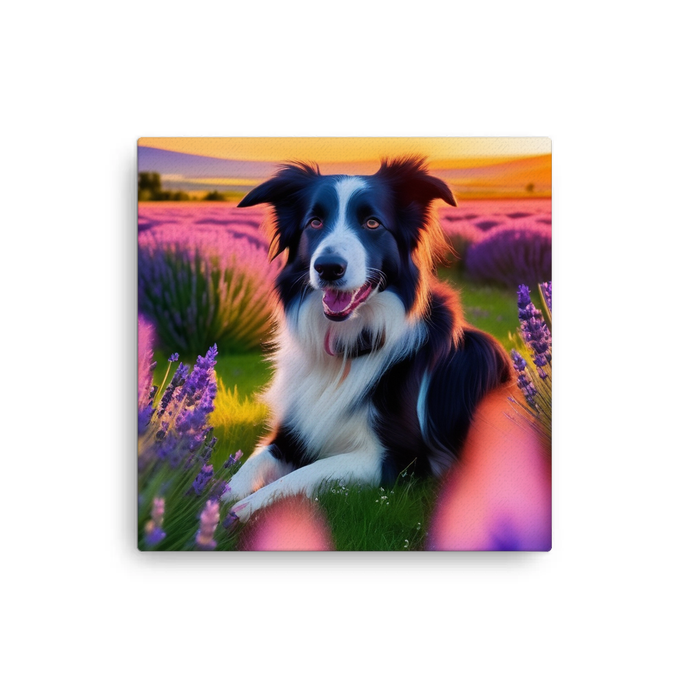 PugMug Custom Border Collie Canvas