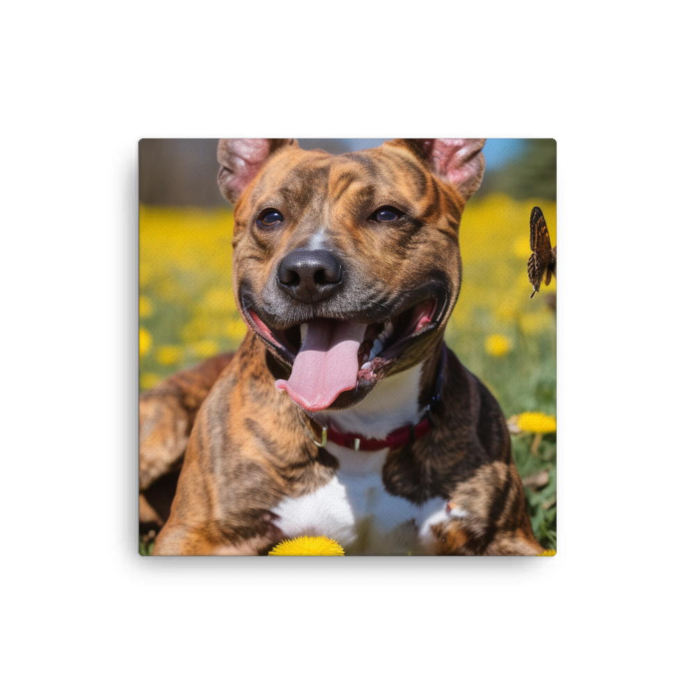 PugMug Custom Tony Hawk Canvas