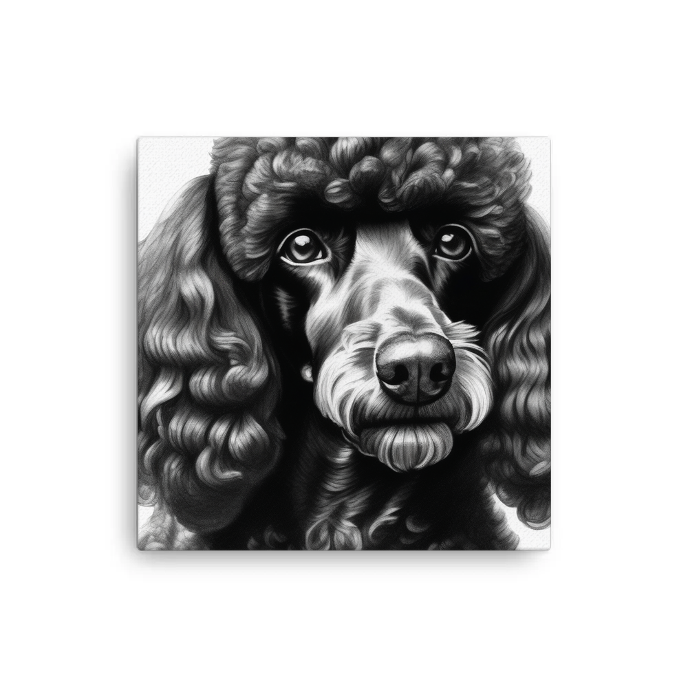 PugMug Custom Black Poodle Canvas
