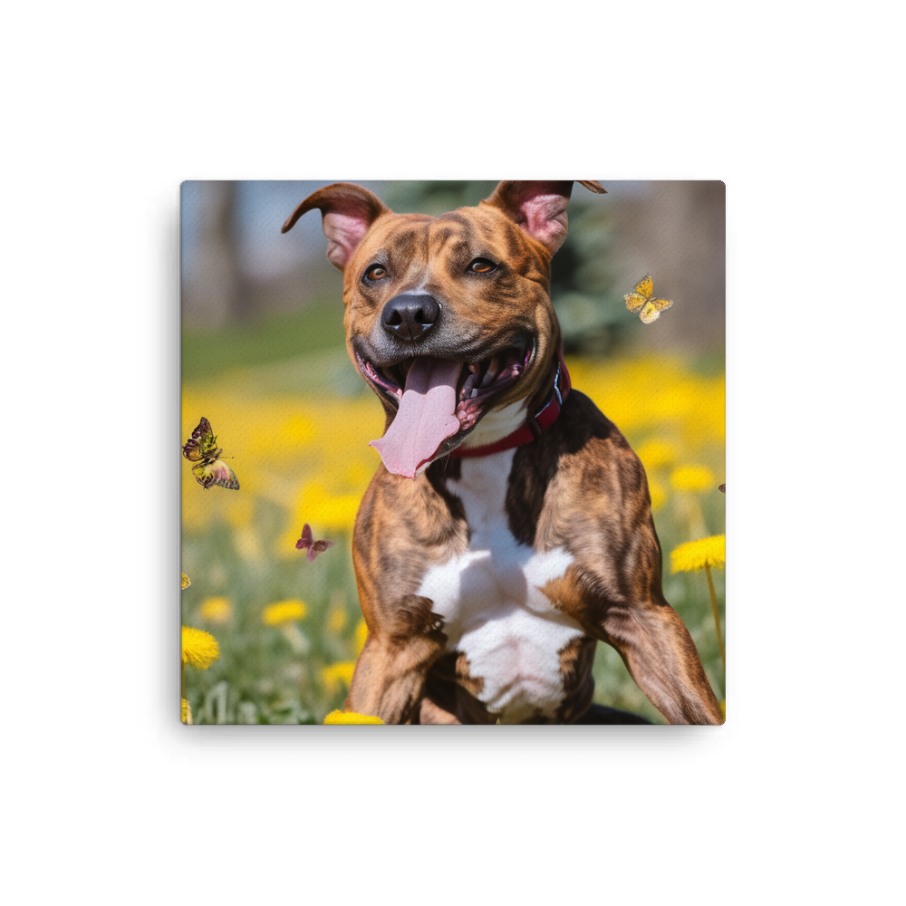 PugMug Custom Tony Hawk Canvas