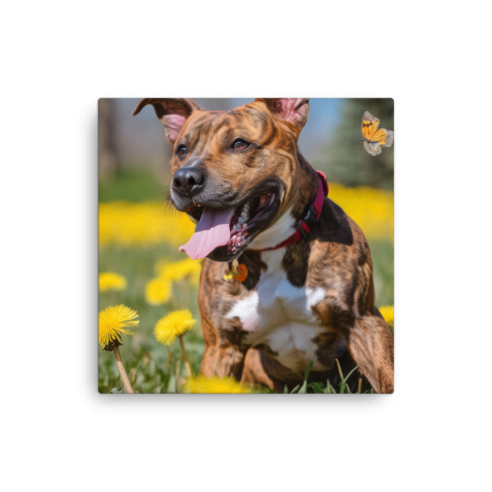 PugMug Custom Tony Hawk Canvas