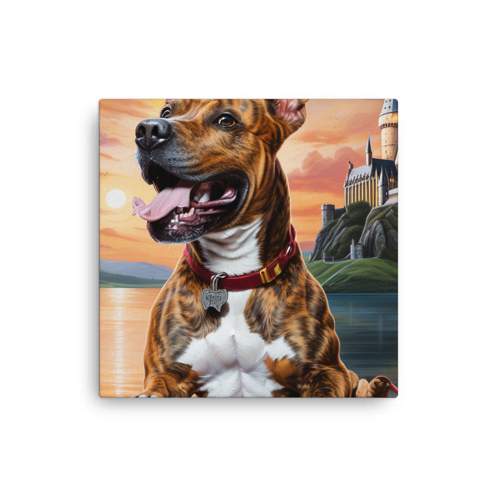 PugMug Custom Tony Hawk Canvas