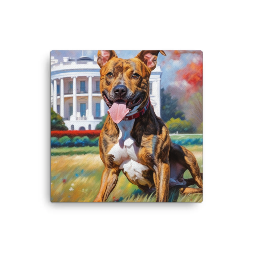 PugMug Custom Tony Hawk Canvas