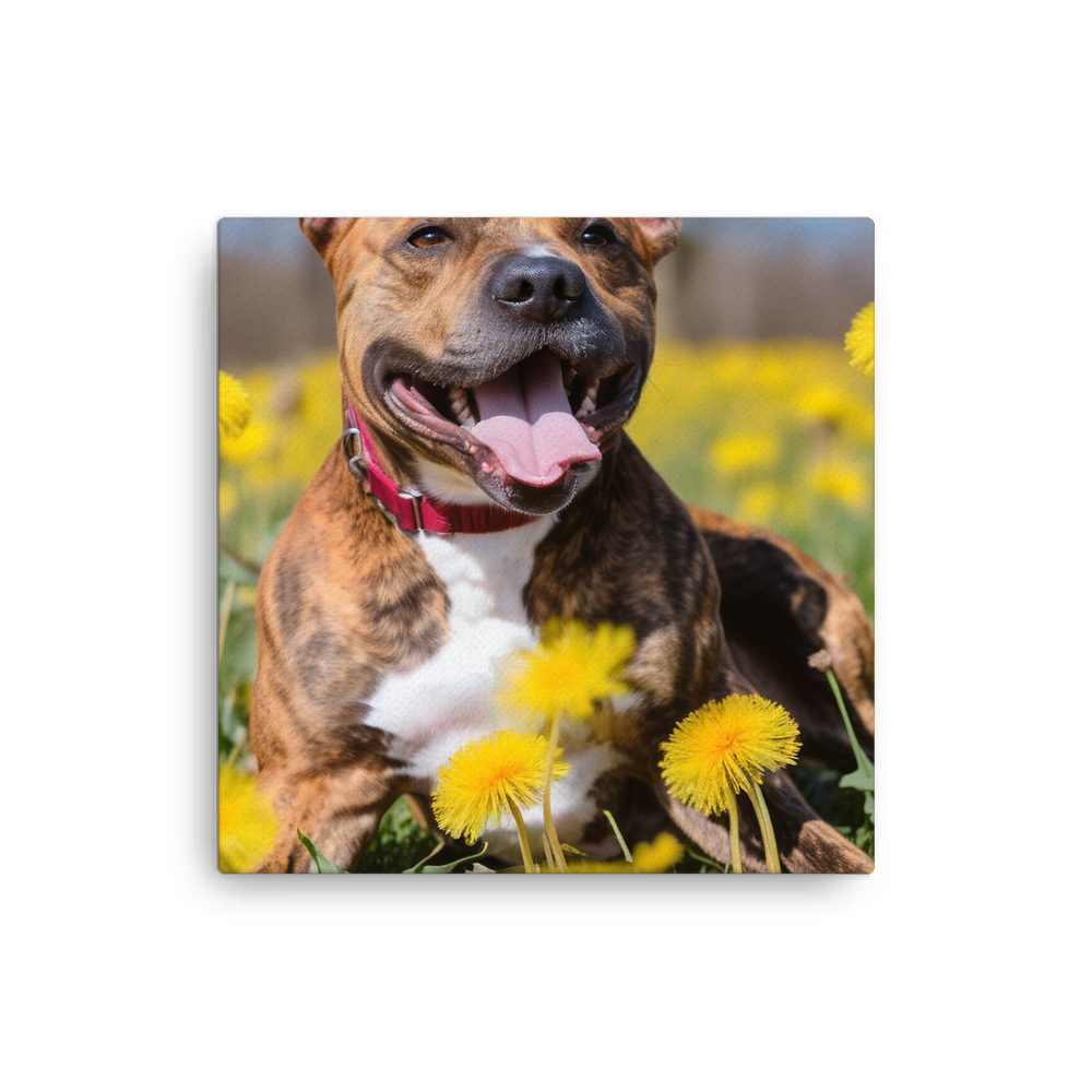 PugMug Custom Tony Hawk Canvas