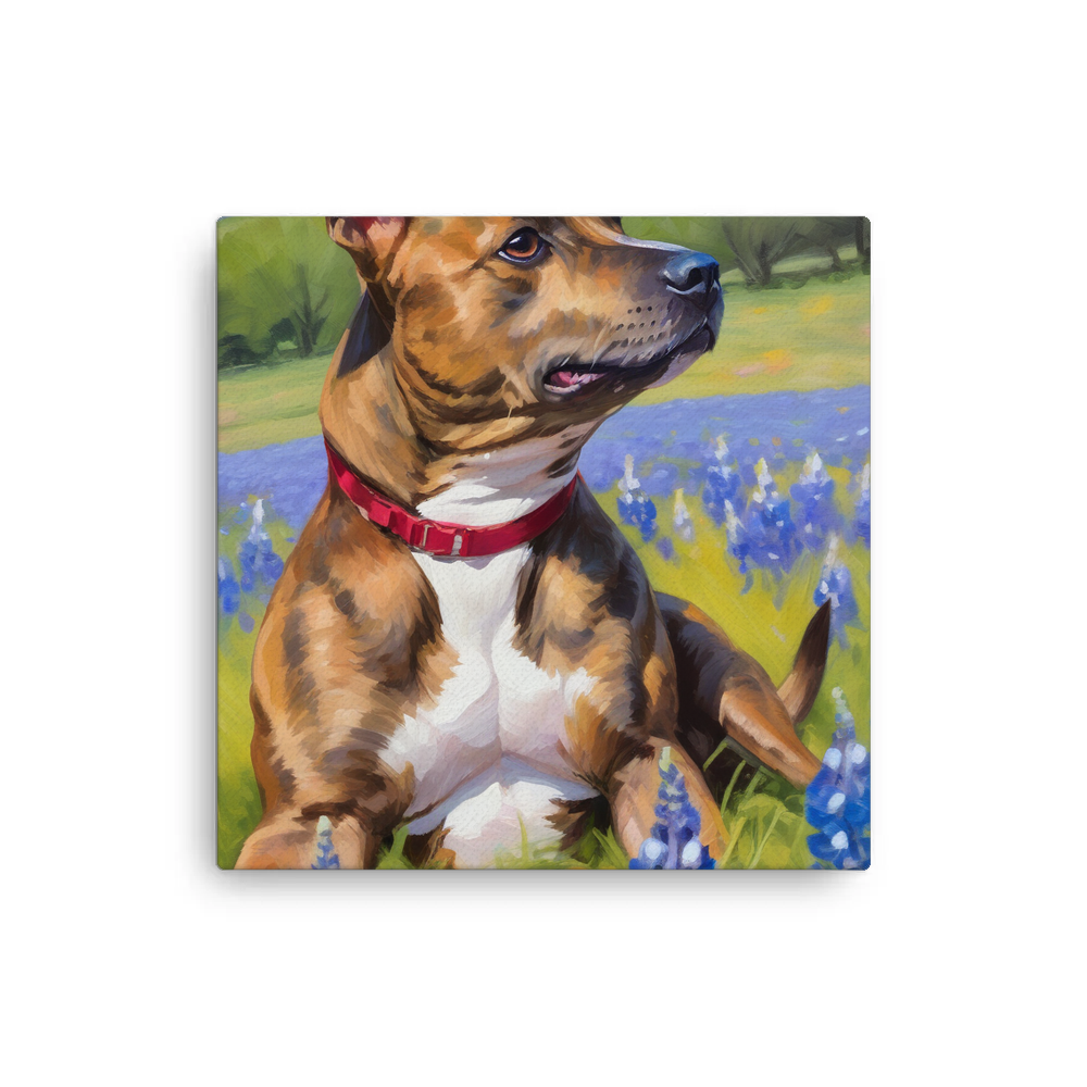 PugMug Custom Tony Hawk Canvas