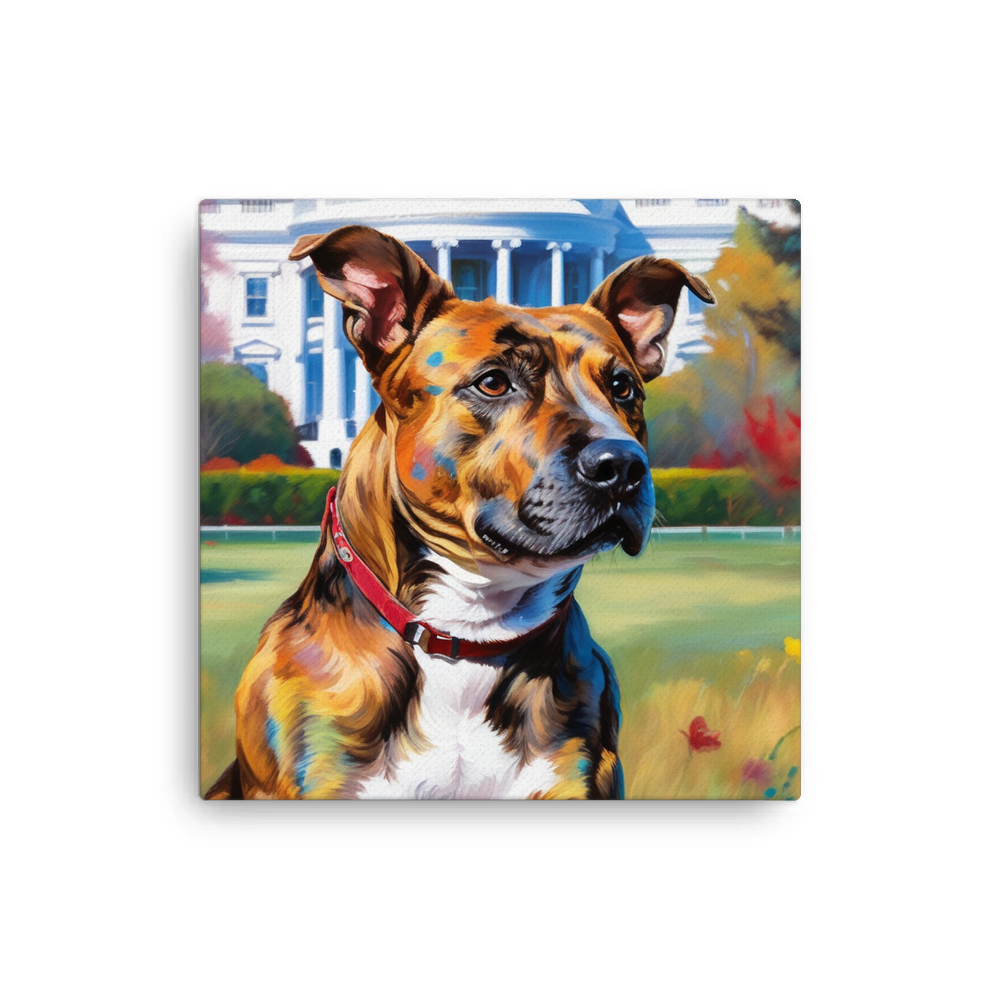 PugMug Custom Tony Hawk Canvas