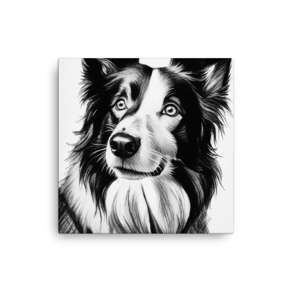 PugMug Custom Border Collie Canvas