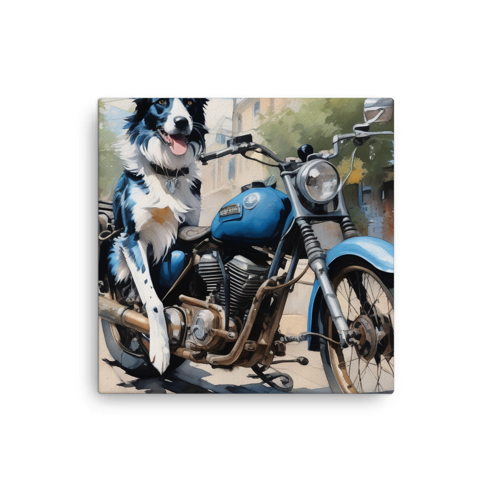PugMug Custom Blue Merle Border Collie Canvas