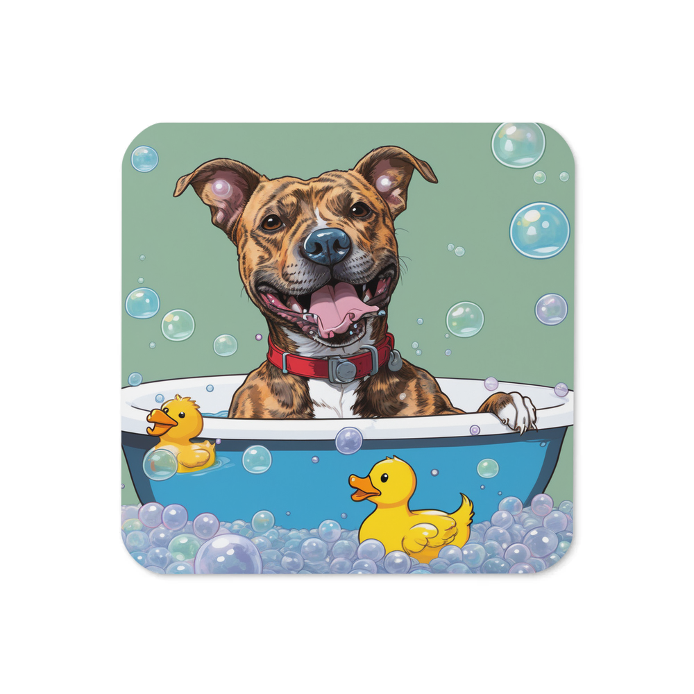 PugMug Custom Tony Hawk Coaster