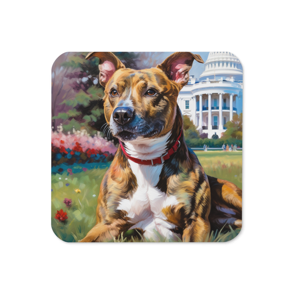 PugMug Custom Tony Hawk Coaster