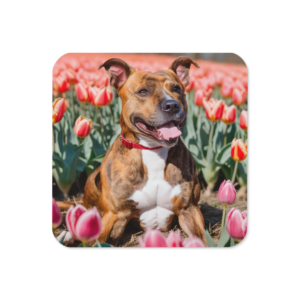 PugMug Custom Tony Hawk Coaster