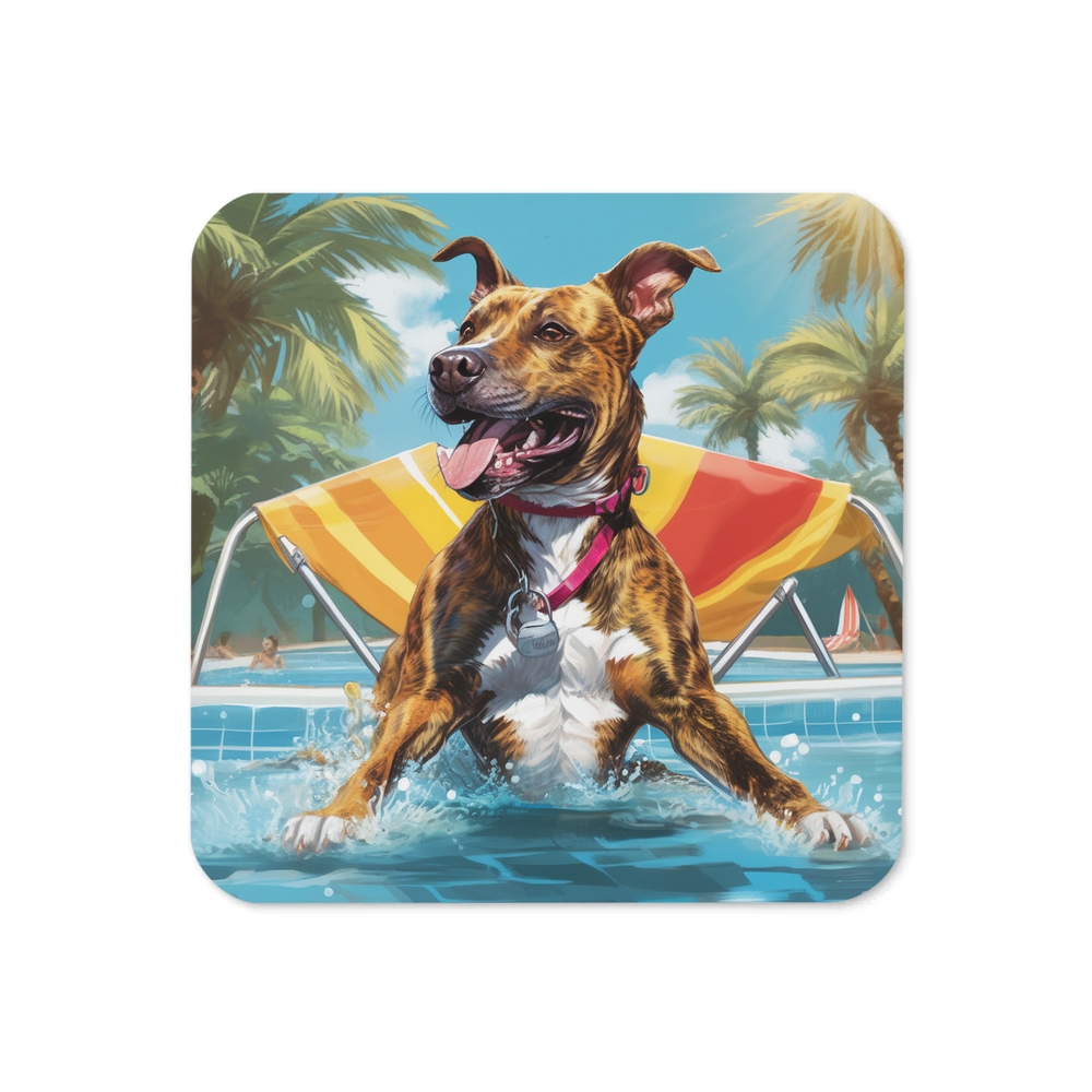 PugMug Custom Tony Hawk Coaster