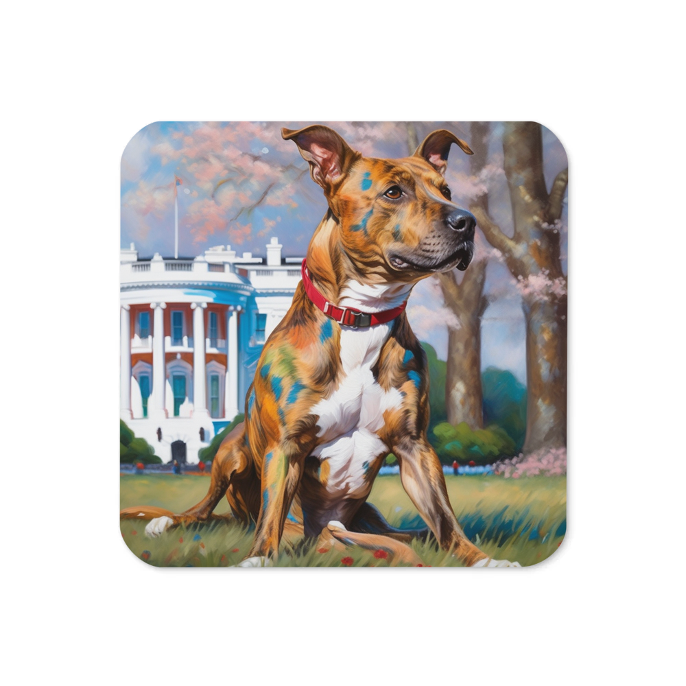 PugMug Custom Tony Hawk Coaster