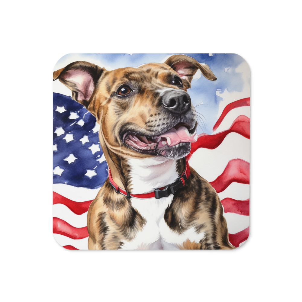 PugMug Custom Tony Hawk Coaster