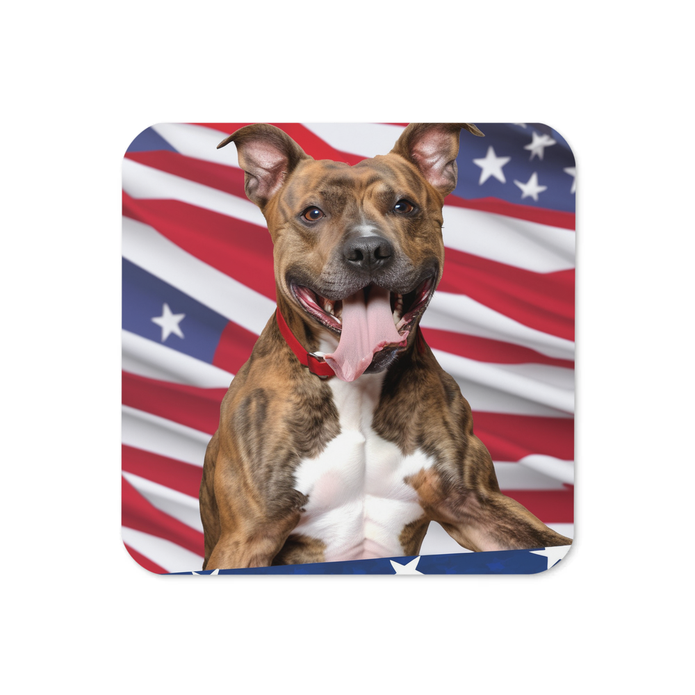 PugMug Custom Tony Hawk Coaster