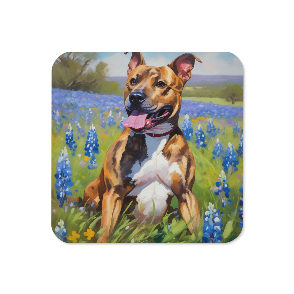 PugMug Custom Tony Hawk Coaster