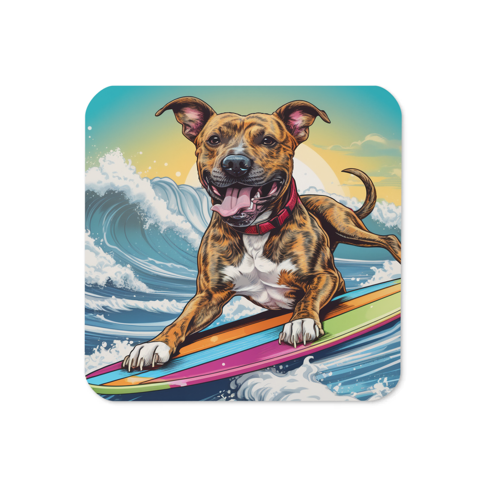 PugMug Custom Tony Hawk Coaster