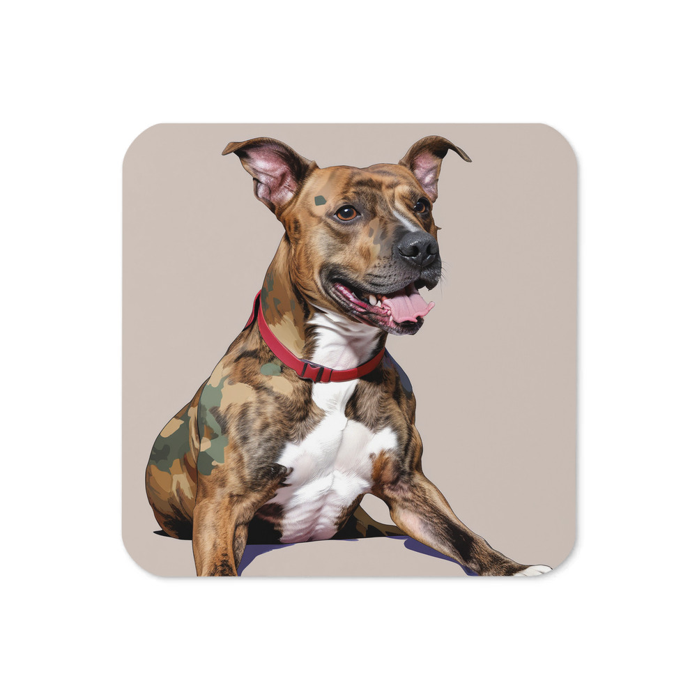 PugMug Custom Tony Hawk Coaster