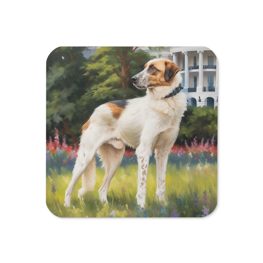 PugMug Custom Hazim Coaster