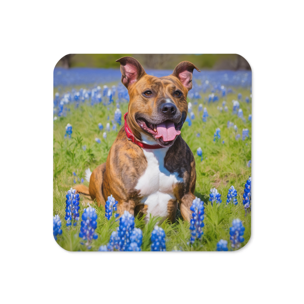 PugMug Custom Tony Hawk Coaster