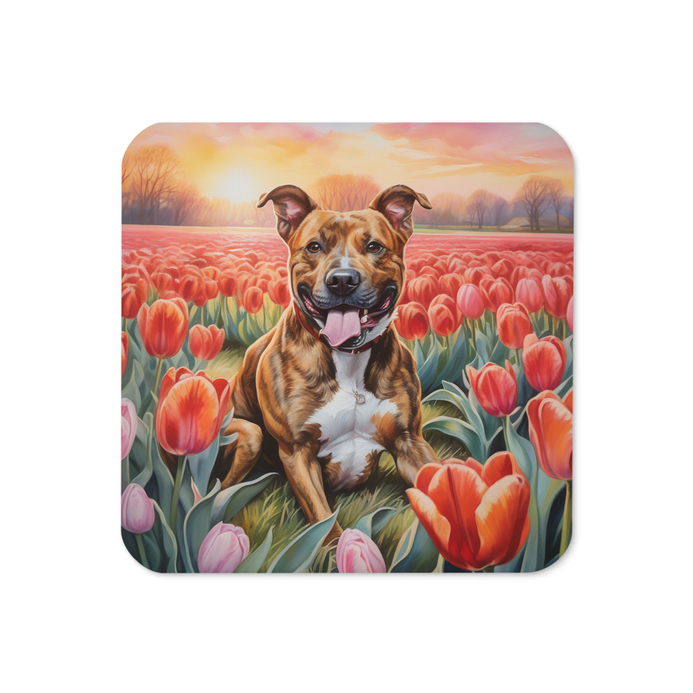 PugMug Custom Tony Hawk Coaster