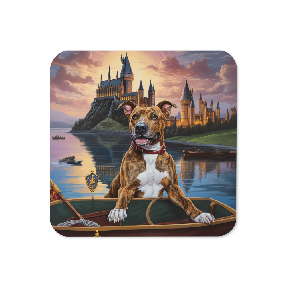 PugMug Custom Tony Hawk Coaster