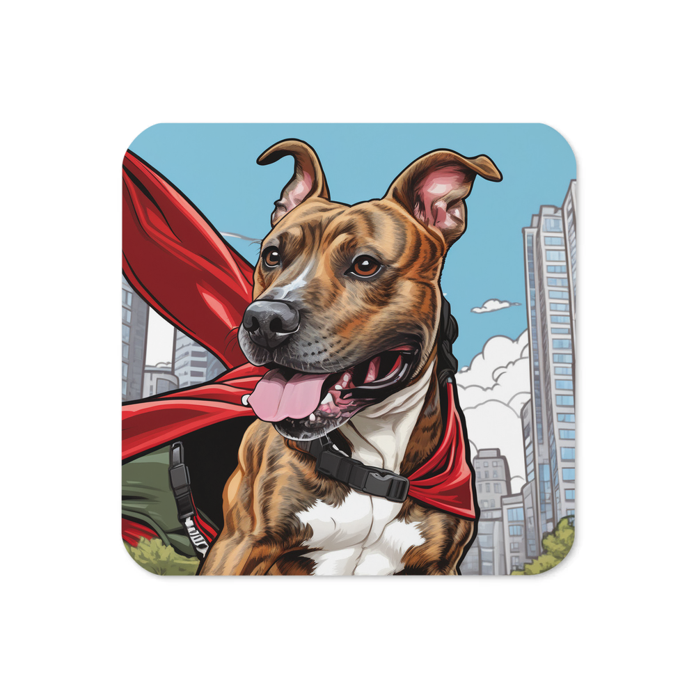 PugMug Custom Tony Hawk Coaster