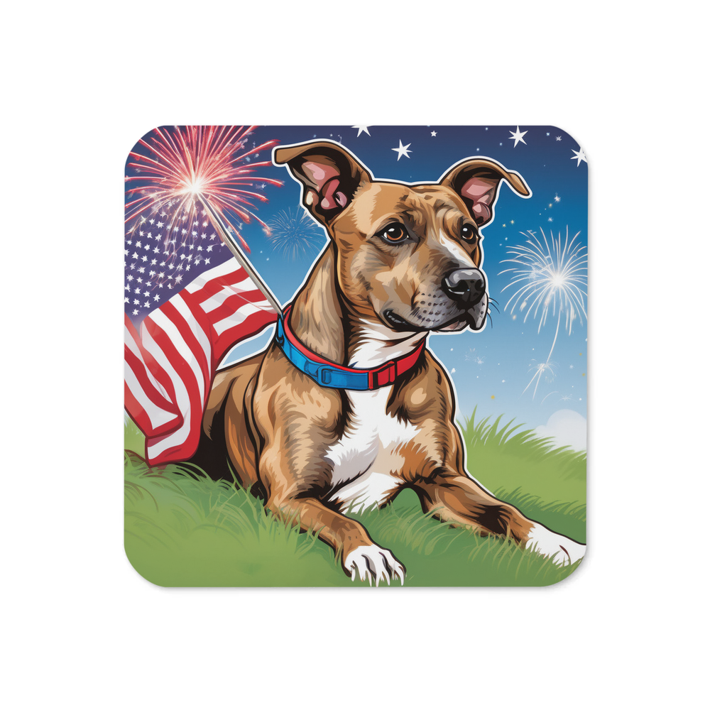 PugMug Custom Tony Hawk Coaster