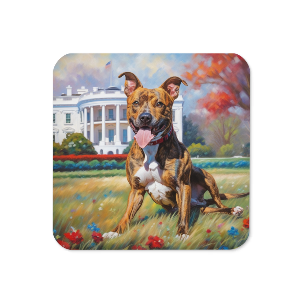 PugMug Custom Tony Hawk Coaster