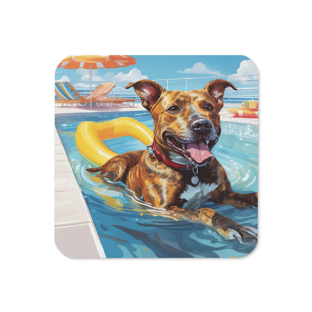 PugMug Custom Tony Hawk Coaster