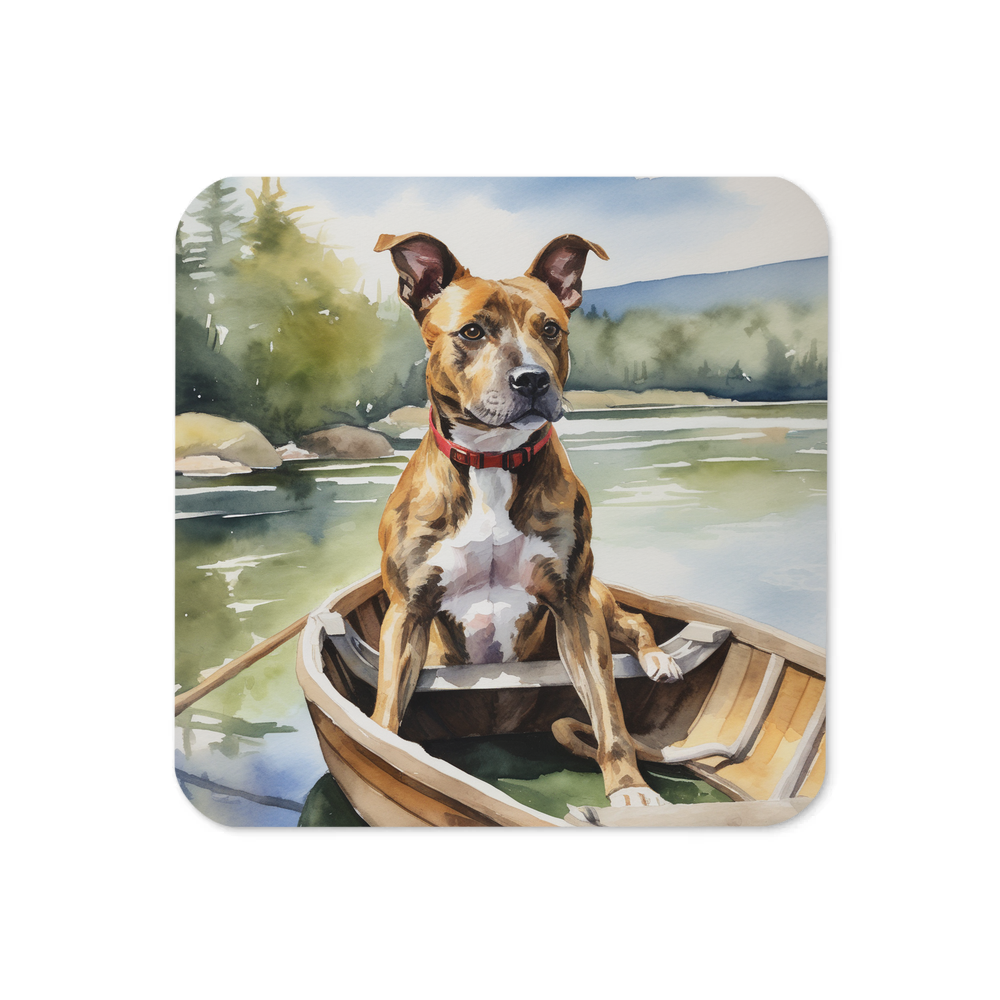 PugMug Custom Tony Hawk Coaster