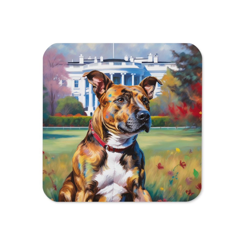 PugMug Custom Tony Hawk Coaster