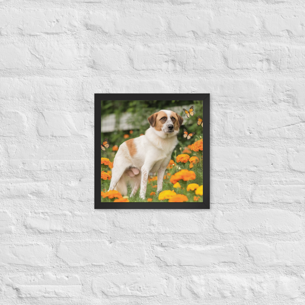 PugMug Custom Hazim Framed Print