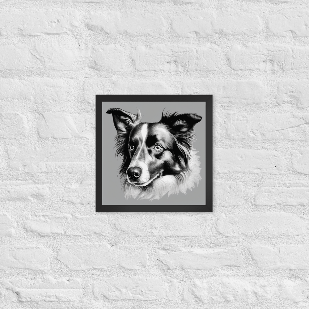 PugMug Custom Blue Merle Border Collie Framed Print
