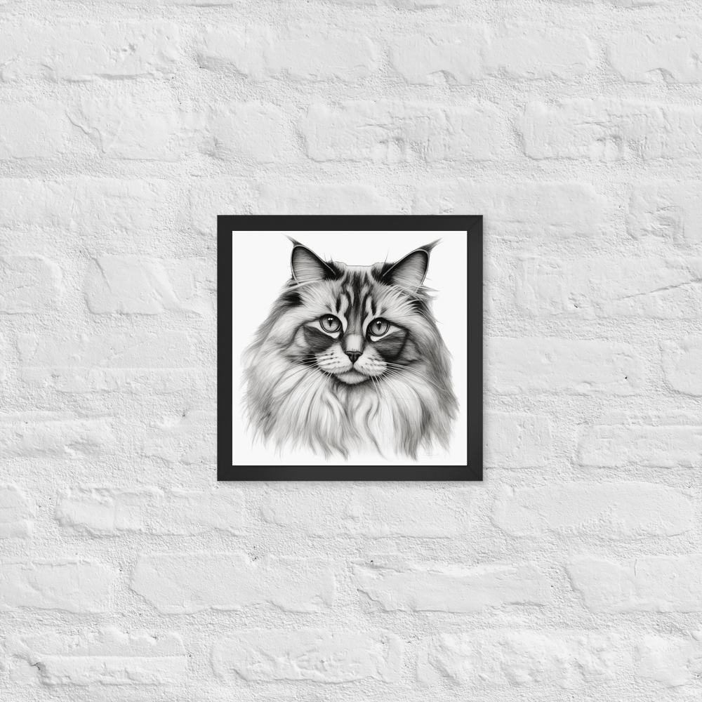 PugMug Custom Tabby Ragdoll Cat Framed Print