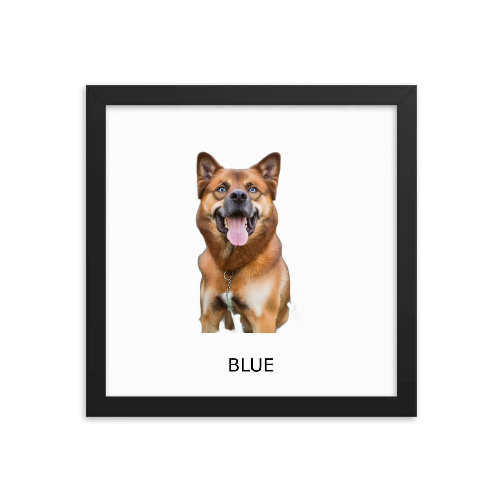 PugMug Custom Blue Framed Print with Your Pet’s Name