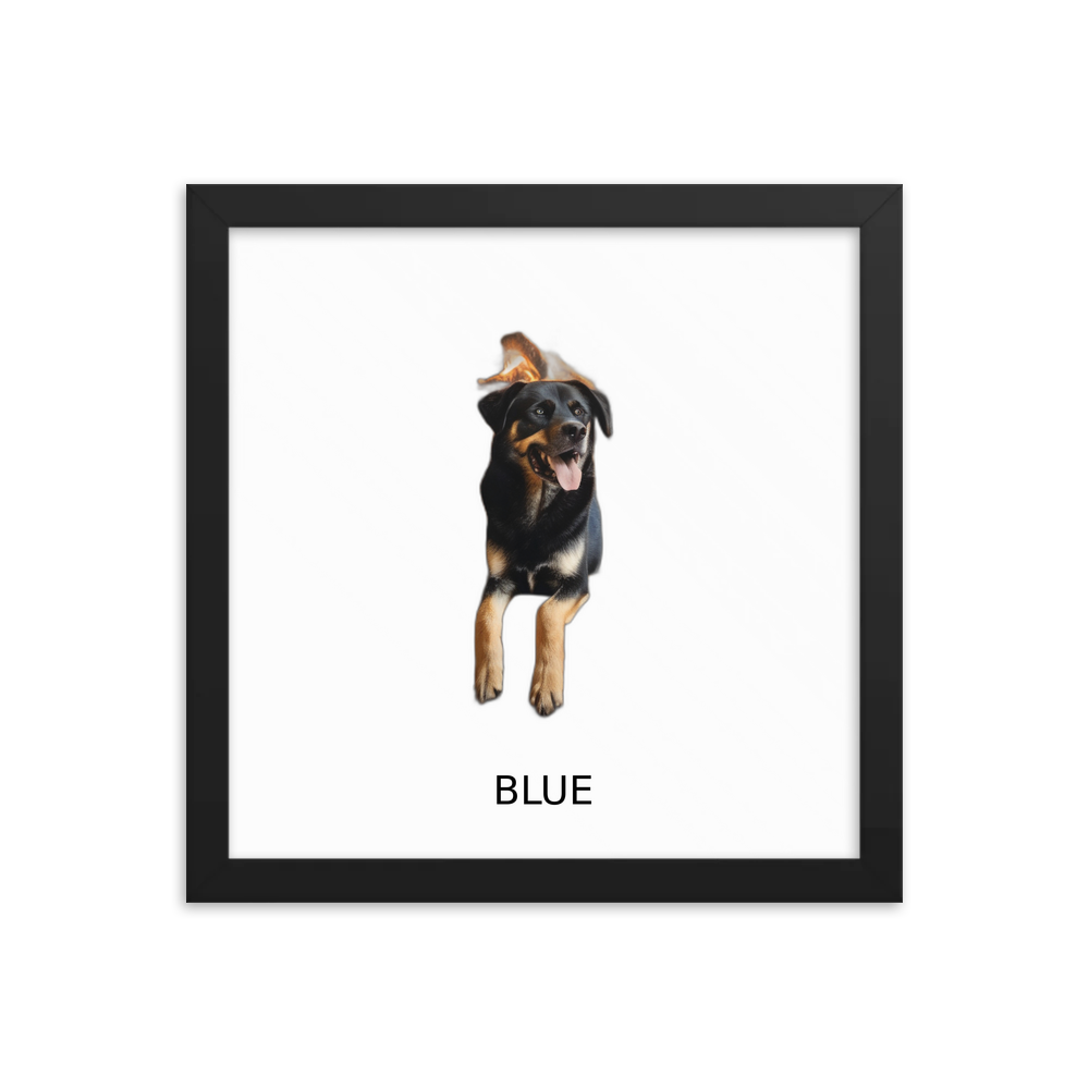 PugMug Custom Blue Framed Print with Your Pet’s Name