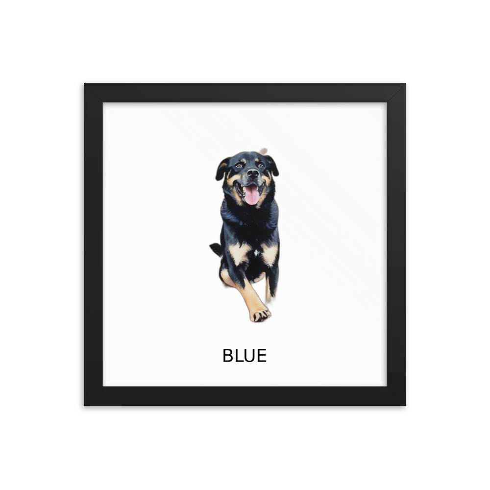 PugMug Custom Blue Framed Print with Your Pet’s Name